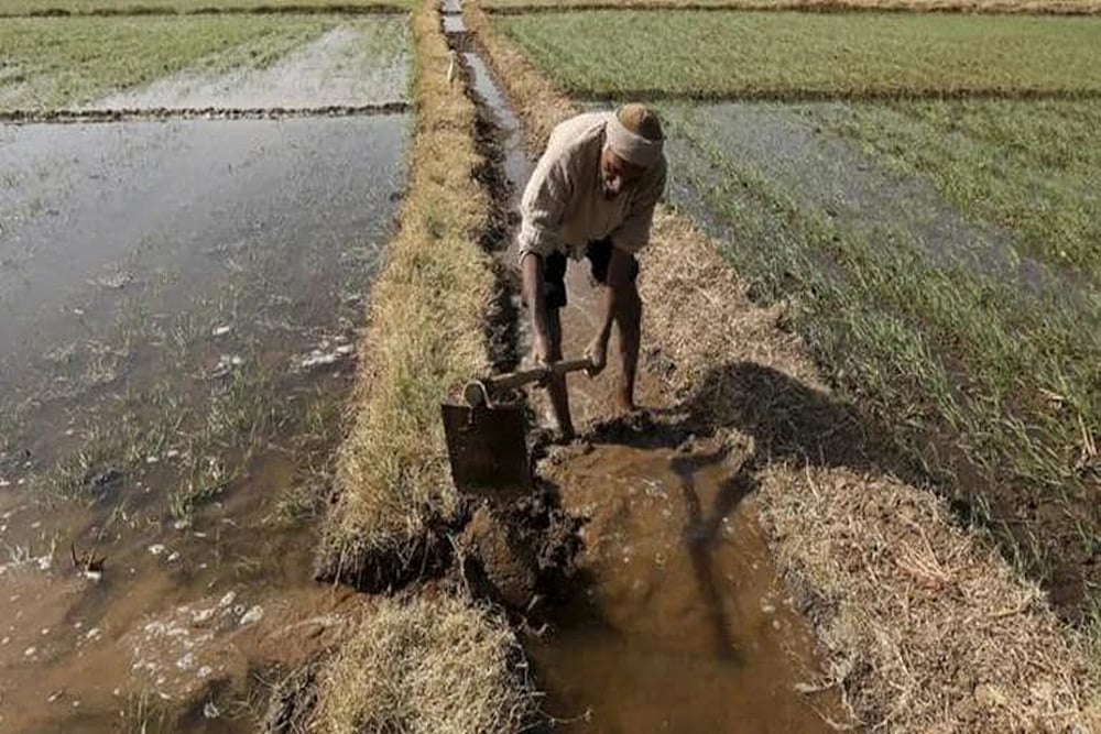 Nitish Kumar’s Govt Scrapped APMC Act 14 Years Ago But Farmers In Bihar Still Languishing