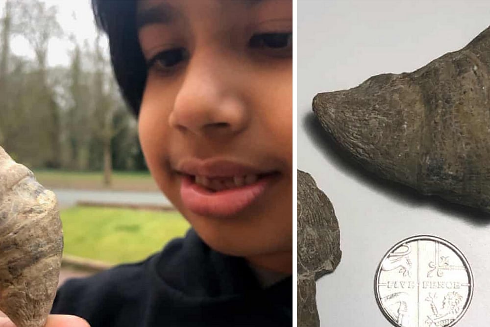 Eureka! 6-Year-Old Indian-Origin Boy Finds Millions Of Years Old Fossil In UK