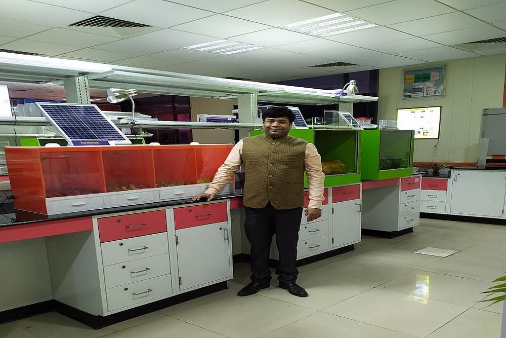 Formula To Stall Ripening, Add Shelf Life Without Refrigeration?