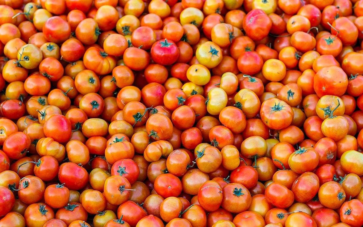 Why This Distress Sale Of Tomato, Potato In Kendrapara