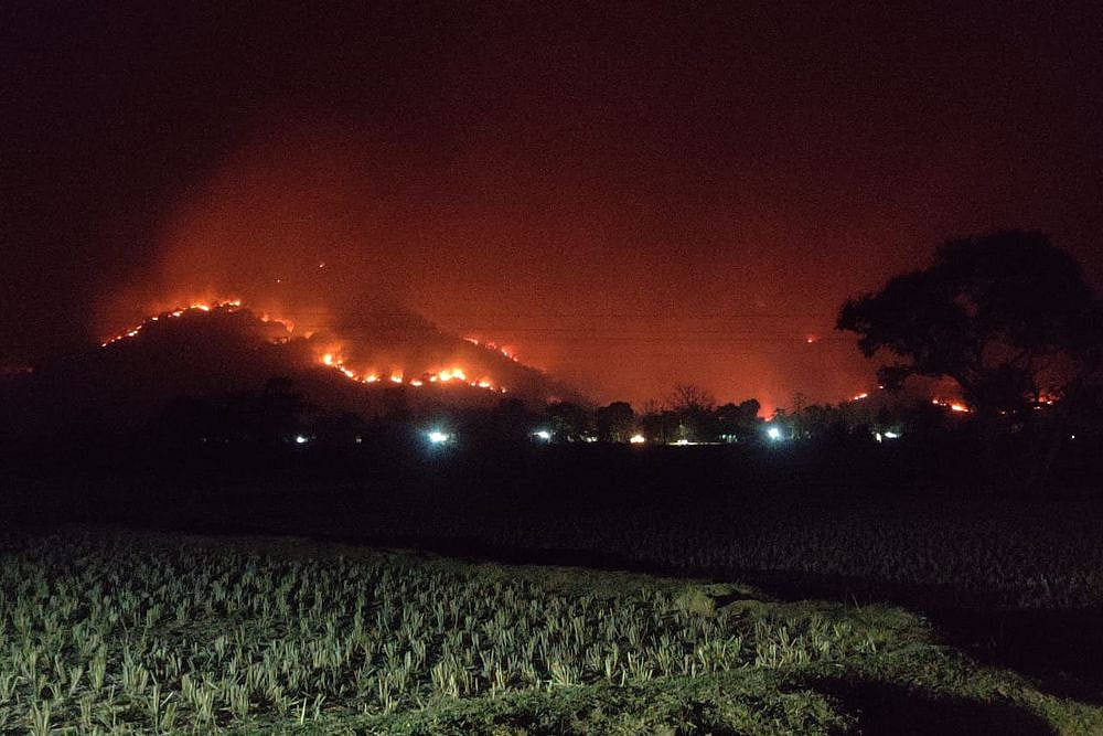 Odisha Forest Fire: Local Outfit Calls For Bandh, Opposition Accuses Government Of Misleading People