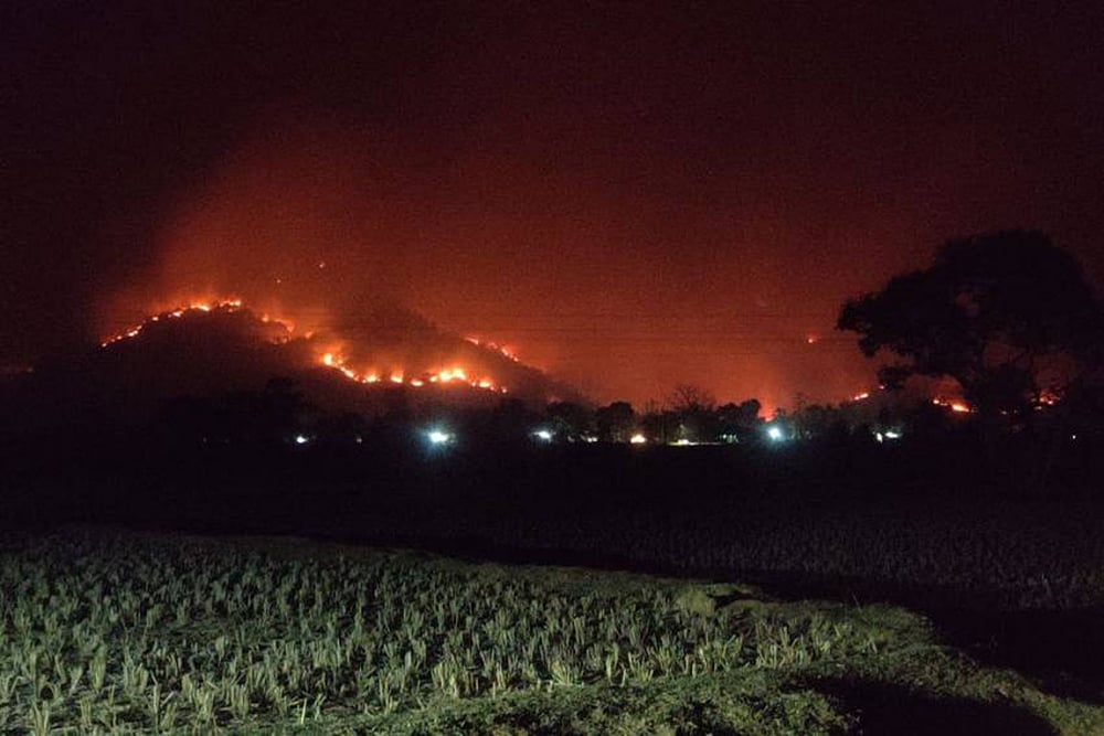 Odisha's Simlipal Is Up In Flames. Why's No One Talking About It?