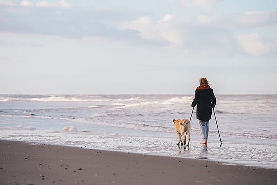 Our Bodies And The Intertwined Fates Of Women And Animals