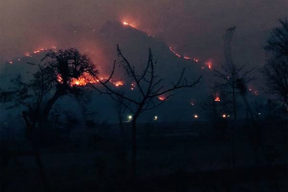 Odisha's Simlipal Forest Fire: Why It Is A Matter Of Concern