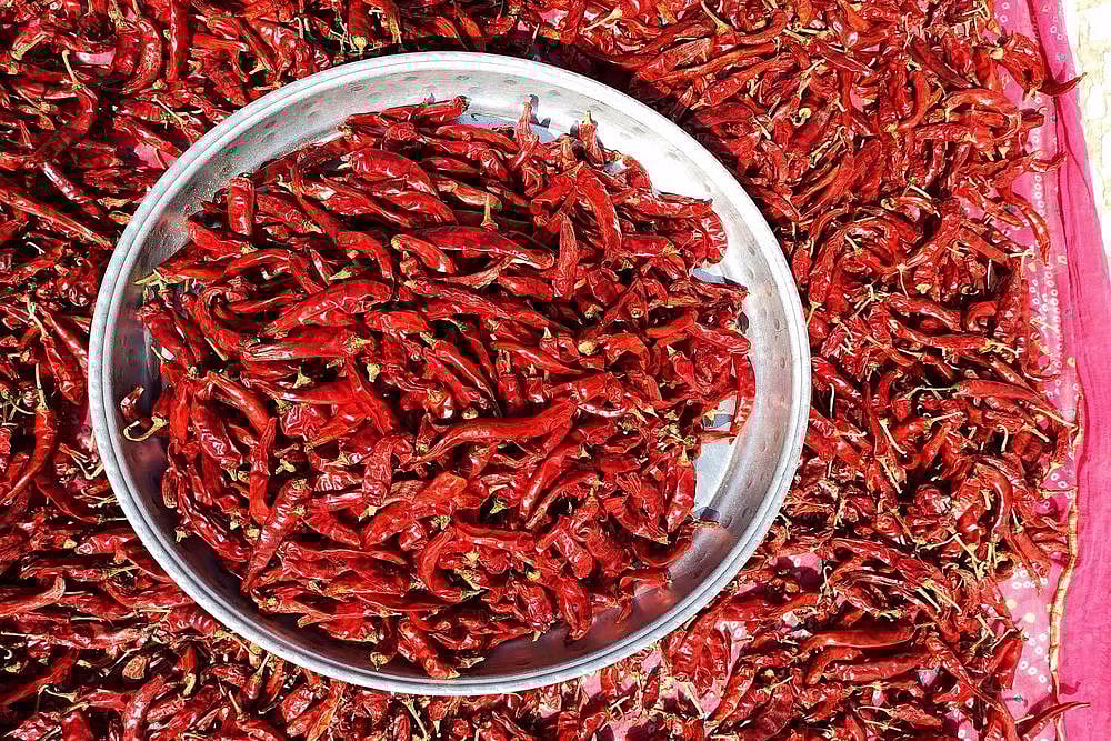 Demand For Indian Chillies Surge Prices In China: Reports