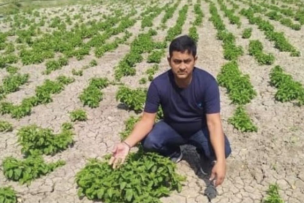 Vegetable For 1 Lakh Per Kilo? This Bihar Farmer Is Growing World's Costliest Crop