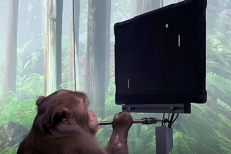 Watch: Elon Musk's Neuralink Shows Monkey Playing Pong With Mind - null