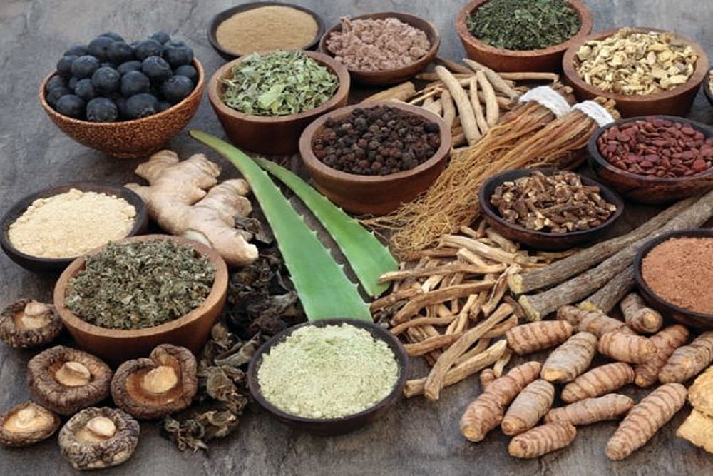 Ayurvedic Medicines: Caught Between The Classical, The Modern And The Pseudo-Modern