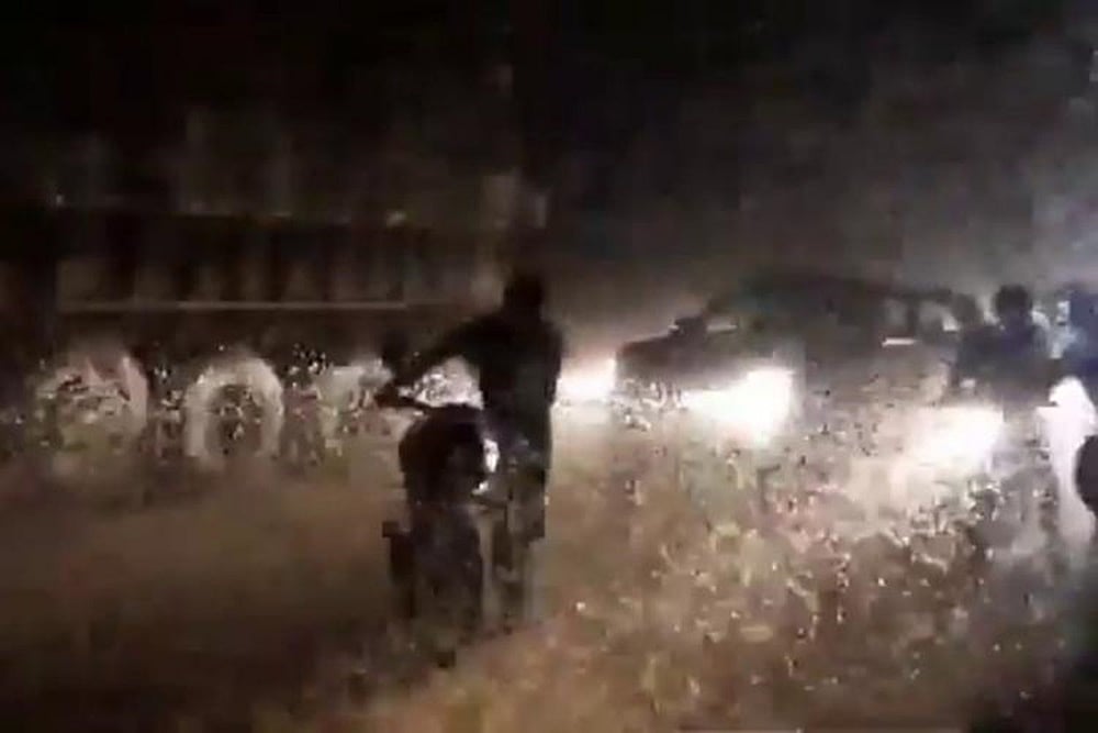Watch: Thousands Of Insects Swarm Karimnagar-Hyderabad Highway, Cause Traffic Jam