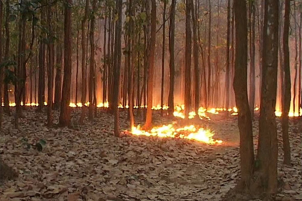 Himachal Pradesh Gears Up After Forest Fires In Uttarakhand