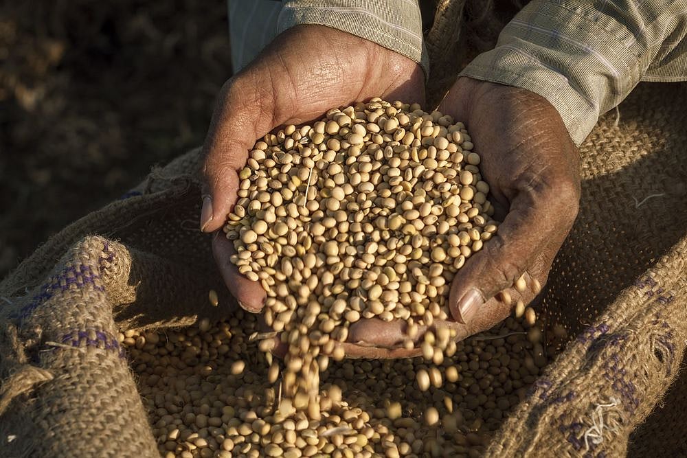 Asia Pacific Fastest Growing Region In Seeds Market: Report