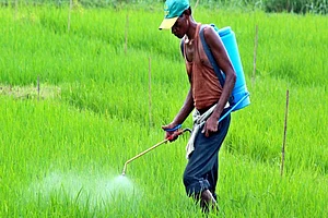 Chhattisgarh Government Should Not Politicise Issue Of Availability Of Chemical Fertilisers: Union Minister Khuba