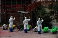 With Positivity Rate At 44%, Nepal Stares At Covid Catastrophe With Positivity Rate At 44%, Nepal Stares At Covid Catastrophe