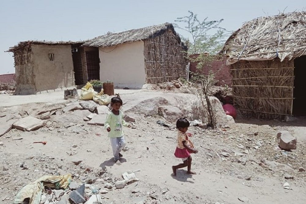 Vaccination Guideline No Way Excludes Pakistani Migrants: Rajasthan HC Tells State