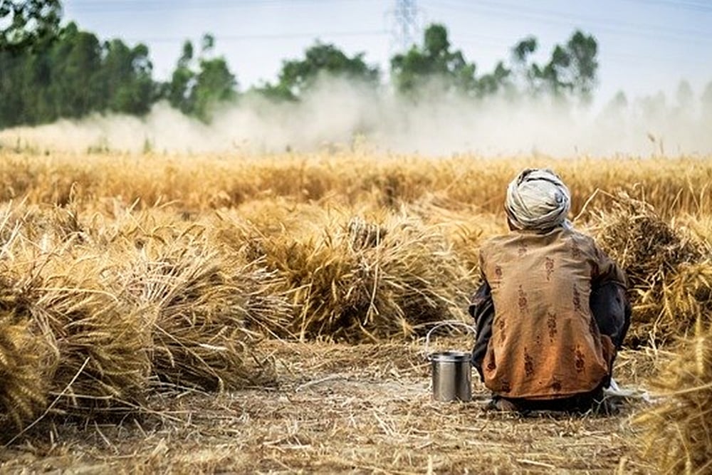 Acute Food Insecurity Soars To 5-Year High: Global Report