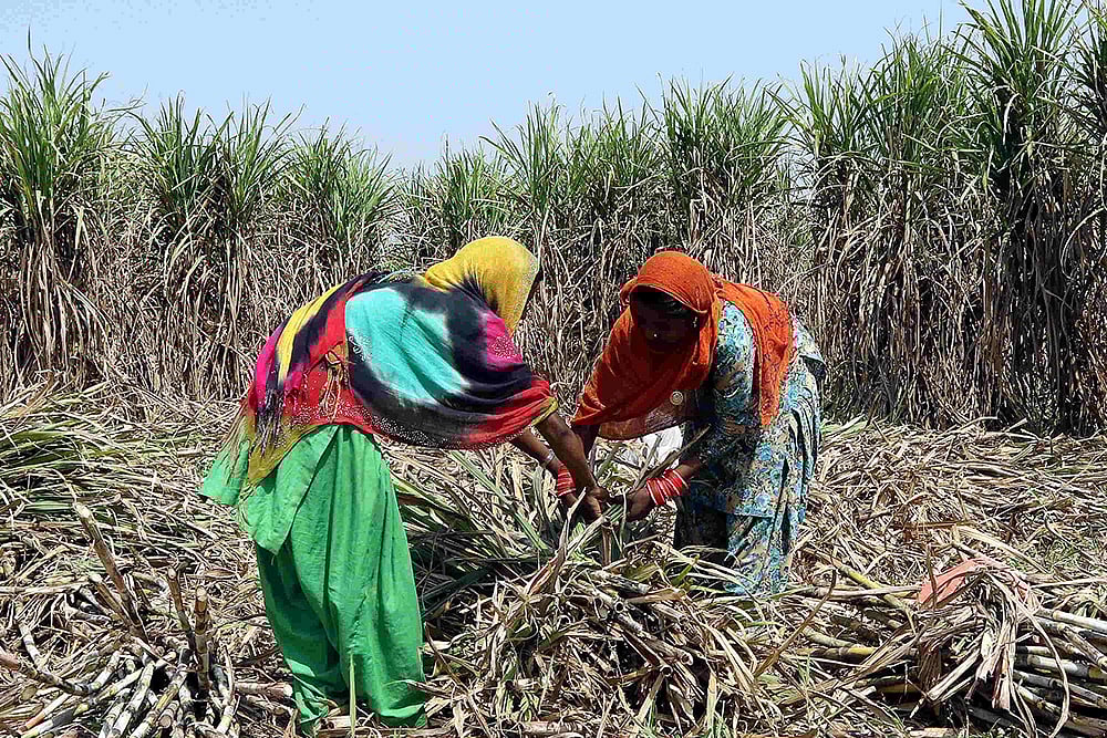 International Food Prices Continue Rising In April