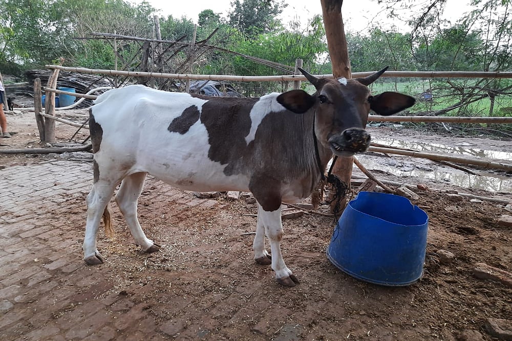 Raise A Glass: It’s World Milk Day!