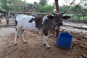 Raise A Glass: It’s World Milk Day!