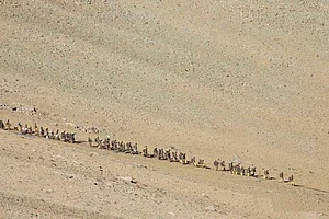 One Year After Galwan, Fear Of The Chinese Still Looms Large Over Ladakhis