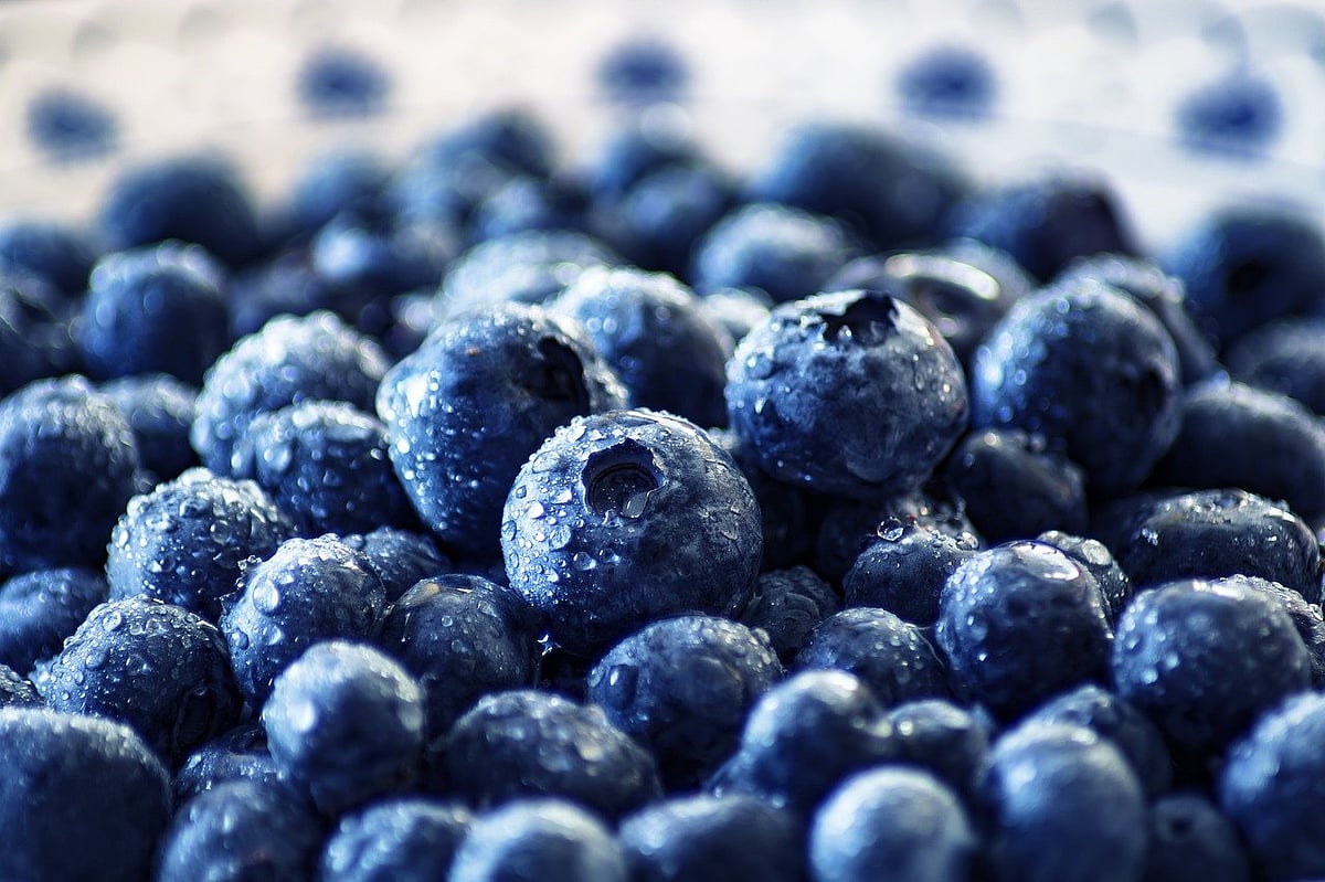 Imports Of USA Blueberries Increased Despite Pandemic: USHBC
