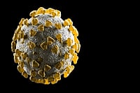 Is Delta Plus Variant Really Dangerous? Know It From Doctor