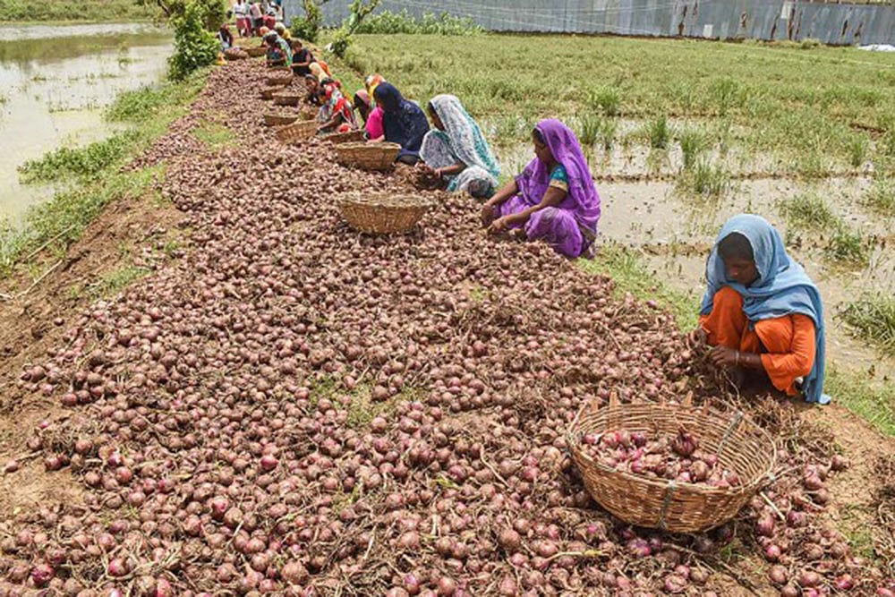 Second Covid Wave Will Have No Impact On Agriculture Sector: Niti Aayog