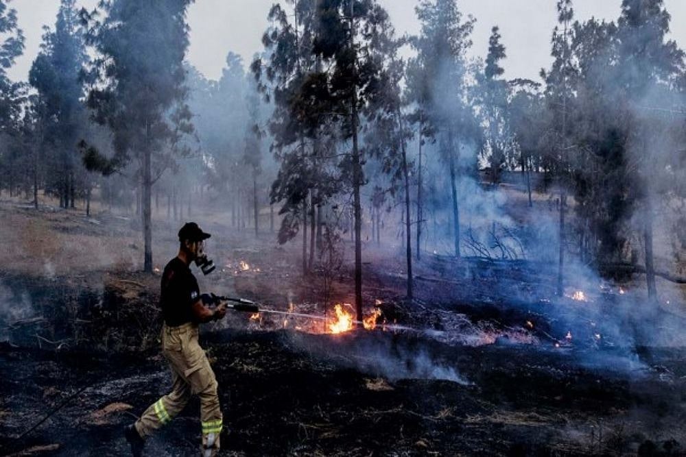 After Detention By Israel, A Pair of Jerusalem Activist Were Freed
