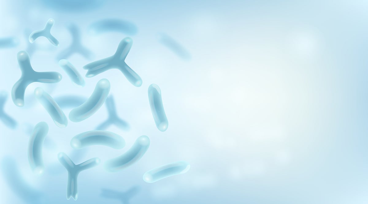 Strengthen your dairy portfolio with Chr. Hansen’s well-documented probiotics