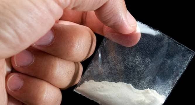 Kolkata Police Special Task Force Seizes Heroin Worth Rs 26 Cr, Drug Peddler Arrested