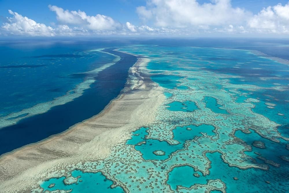Australia Manages To Keep 'World Heritage' Status For Great Barrier Reef