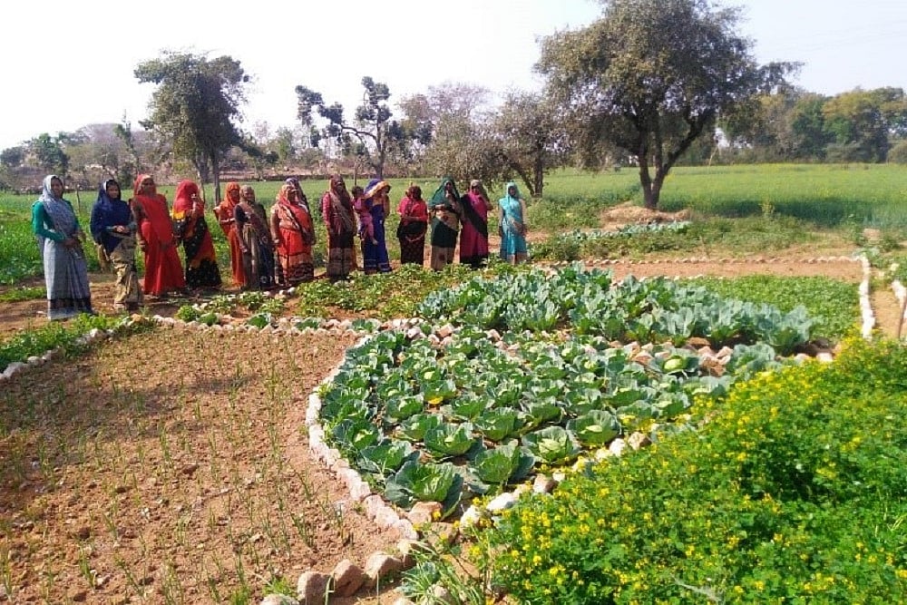 A Shared Value Approach Can Help Businesses Solve The Problem Of Rising Hunger In India