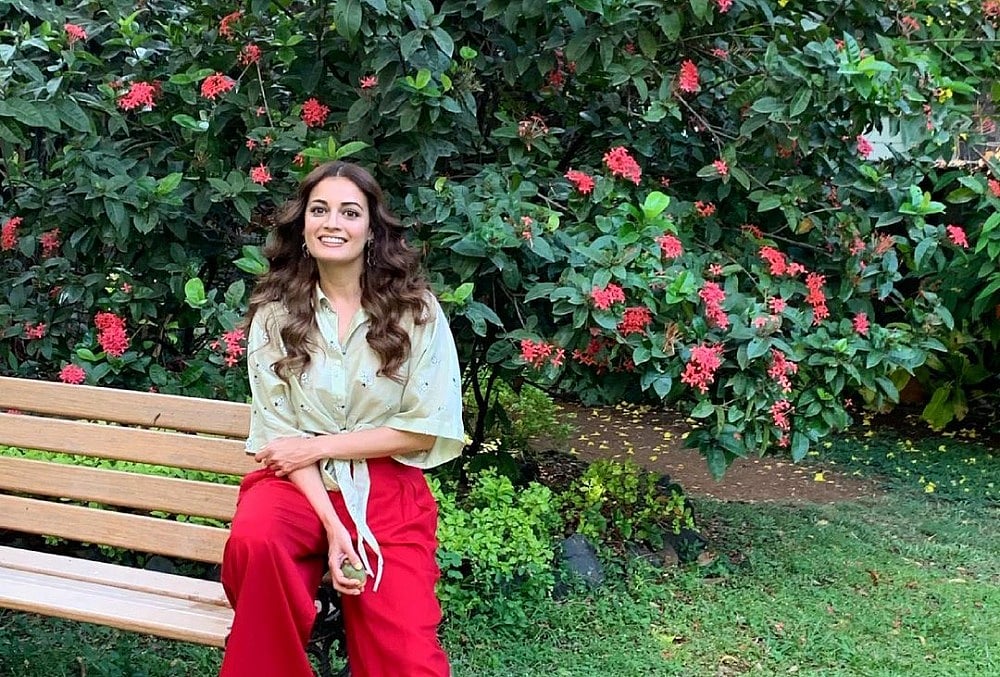 International Tiger Day: Dia Mirza Urges People To 'Do More' For The Conservation of 'Big Cats'