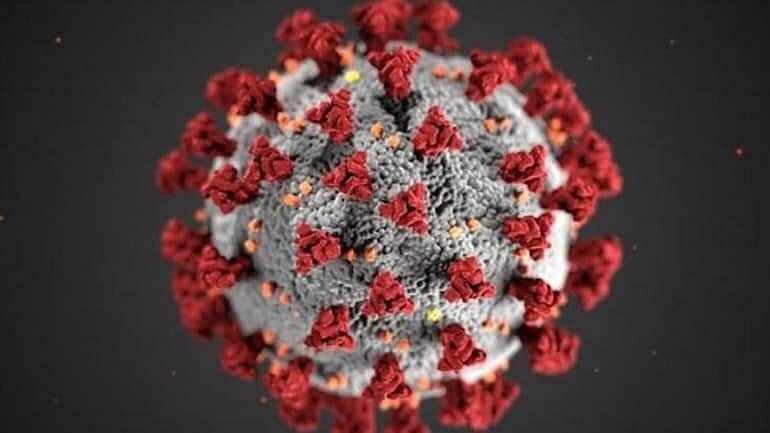 Researchers Develop Variants Of More Potent, Stable Nanobodies To Fight SARS-CoV-2