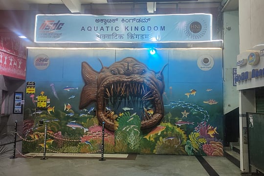Bangalore Railway Station's New Tunnel Aquarium Gives Glimpses of Marine Life