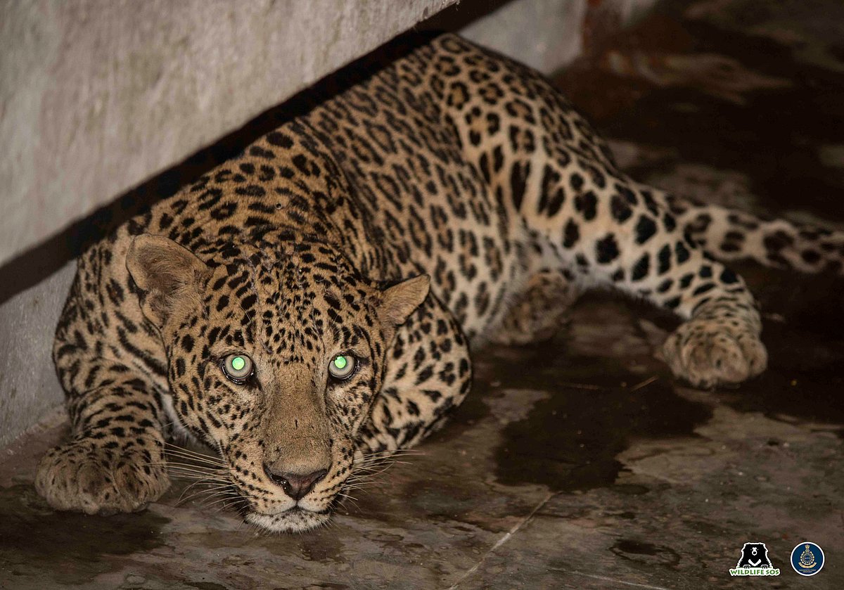 Representative photo