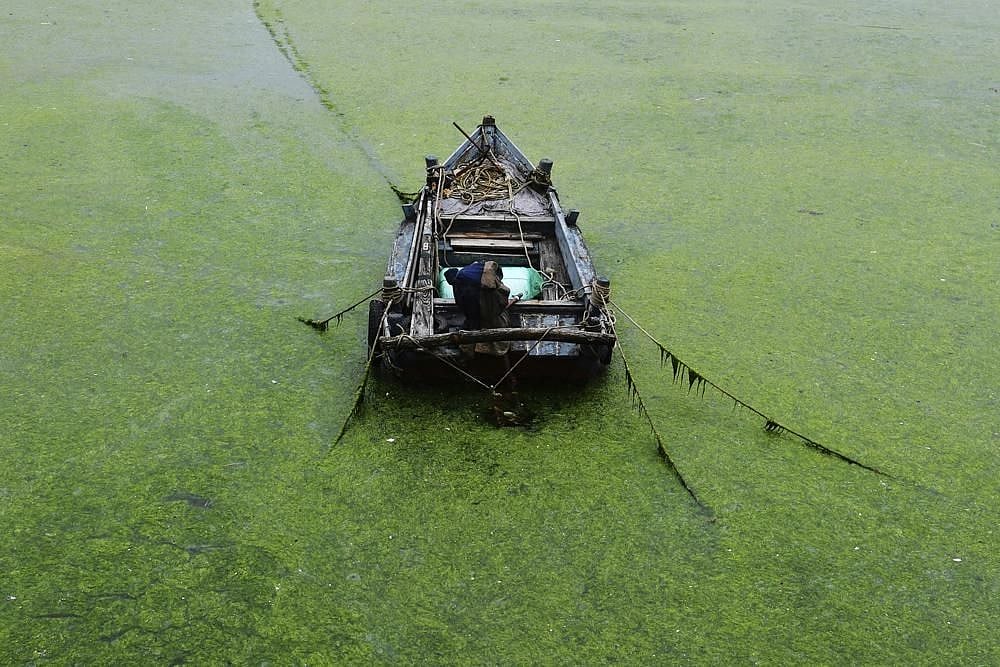 China: Port City Of Qingdao Uses Boats, Scoops To Fight Algae Bloom