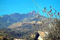 Politics Of Turning Ancestral Lands Of Indigenous Tribes Into Forest Reserved In Manipur