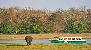 Revenge Tourism: In Between Lockdowns, Karnataka’s 'Jungle Lodges & Resorts' Breaks Monthly Records