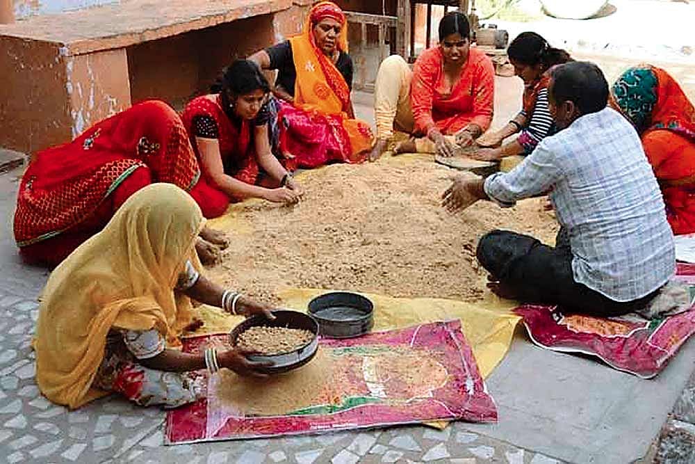 Rajasthan Tehsildar Appeals To Women To Voluntarily Give Up Their Rights From Parental Agri Land