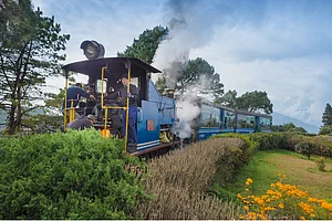 Darjeeling Toy Train Back On Track After More Than A Year