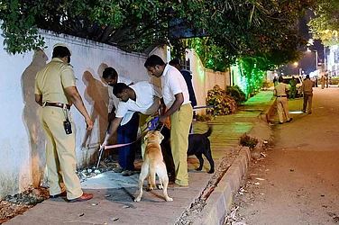 Stray Dogs Issue: Delhi Police Files FIR Over Alleged Misinformation