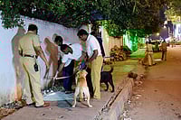 Stray Dogs Issue: Delhi Police Files FIR Over Alleged Misinformation FIR Over Stray Dog Circular Misinformation In Delhi