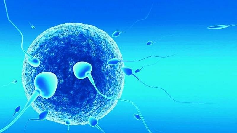 Beijing Woman Sues For Right To Freeze Her Eggs