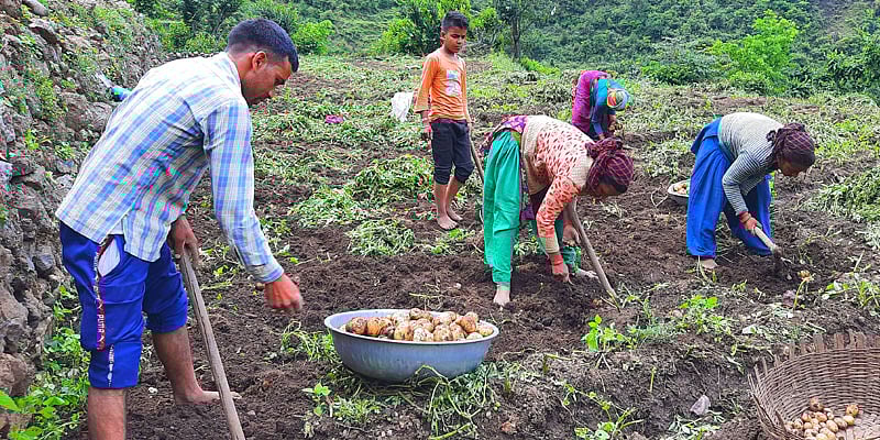 Helping Uttarakhand Farmers Scale New Heights
