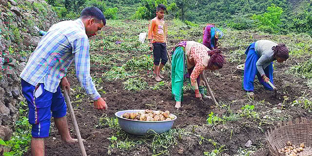 Helping Uttarakhand Farmers Scale New Heights