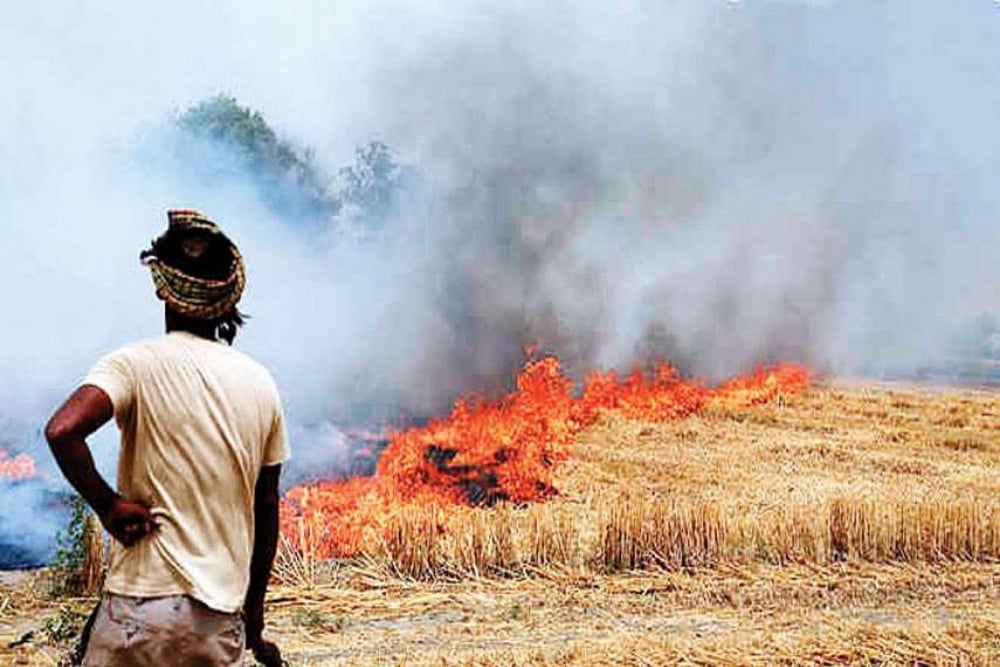 Centre deliberates with states over stubble burning.(File photo)