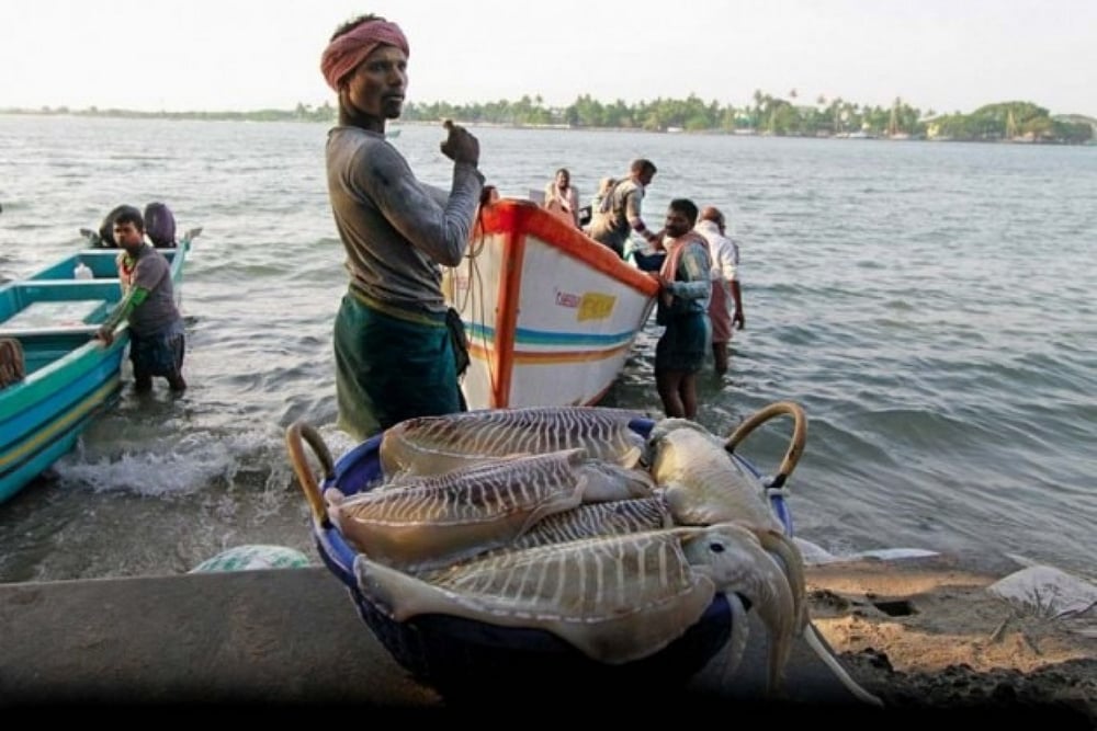 Indian fishermen 
