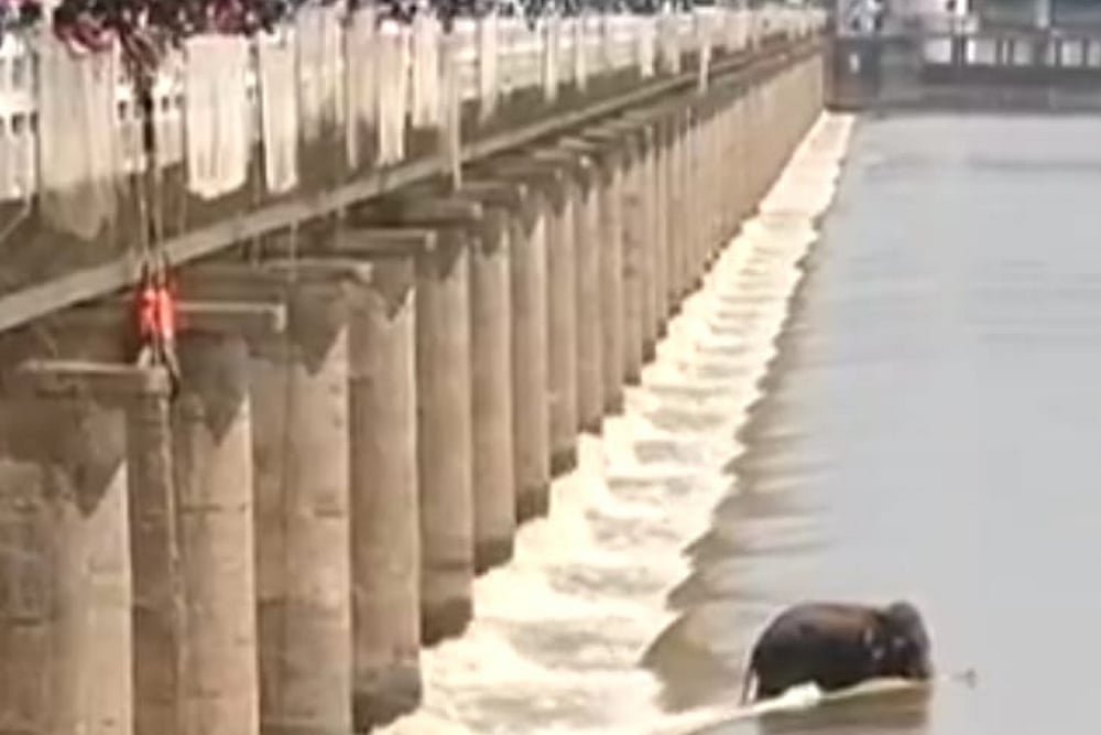 Odisha Stares At 'Medium Flood' In Mahanadi Amid Depression-Induced Rainfall