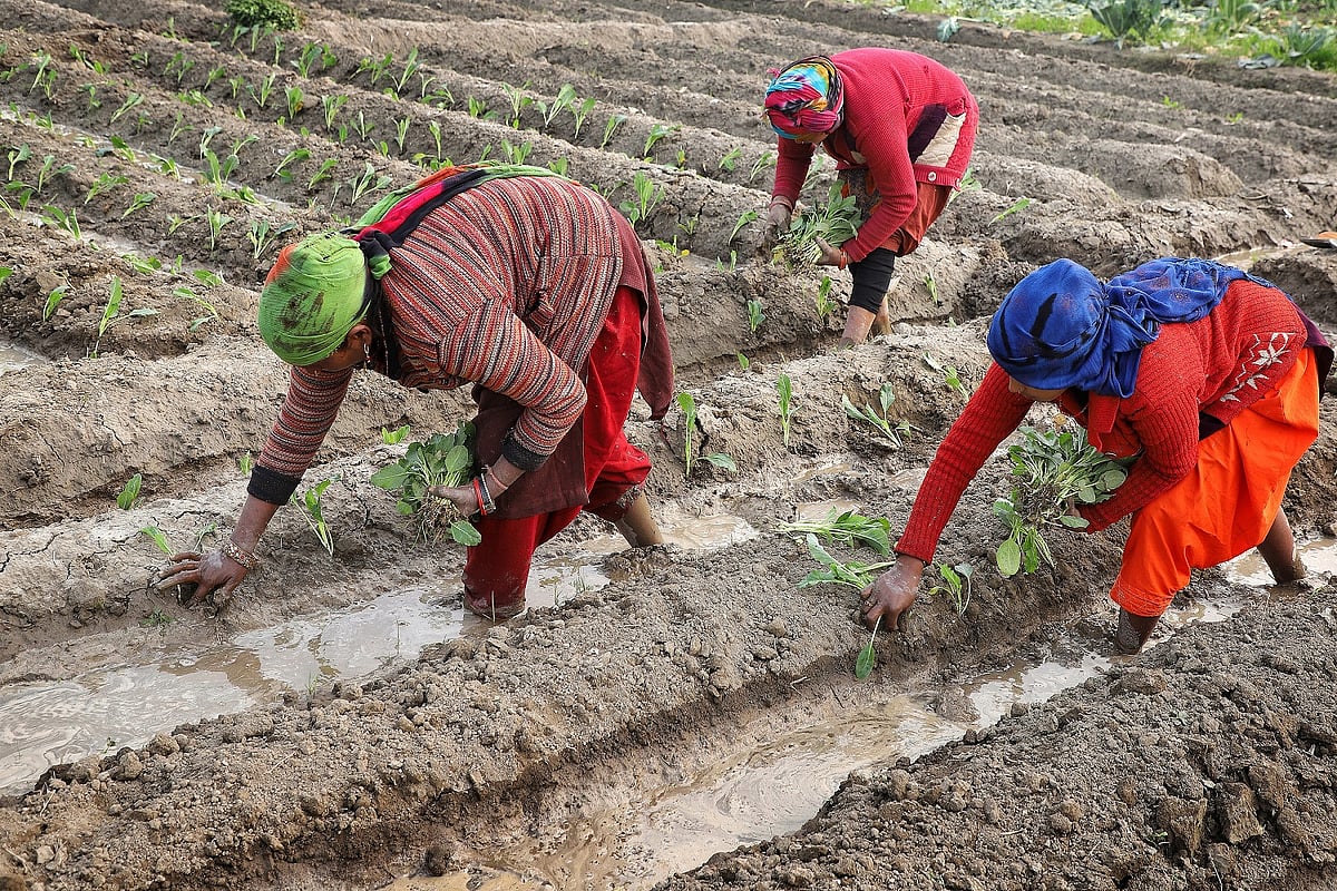 Small Farmers Need Decent Wages: IFAD To World Leaders