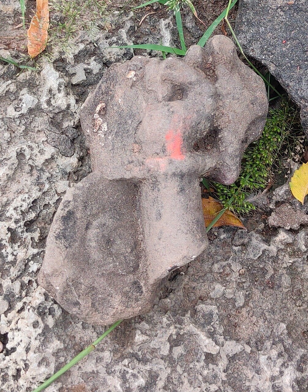 MCD Engineer, Who Discovered Dara Shukoh’s Grave, Stumbles Upon A Possible Medieval Era Treasure Trove In UP